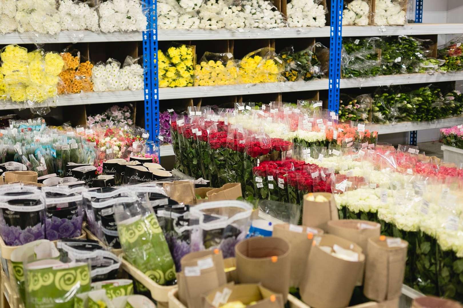 Где Купить Цветы Недорого Оптом