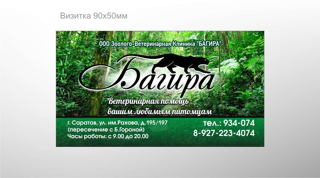 Багира карта покупателя