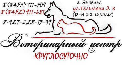 аристократ арсеньев ветклиника
